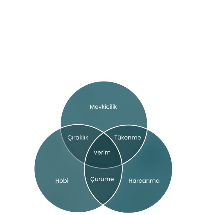 Sürdürülebilir Verimlilik Şeması